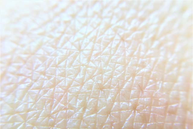 大人と赤ちゃんの手